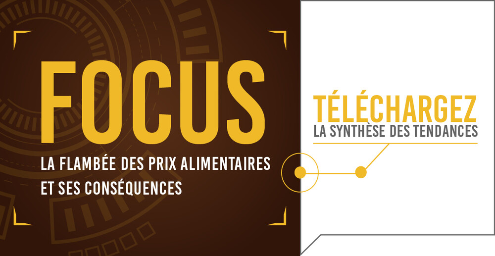 FOCUS #8 La flambée des prix alimentaires et ses conséquences