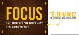 FOCUS #8 La flambée des prix alimentaires et ses conséquences